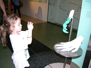Peo photographing the grasping hand model at the museum.