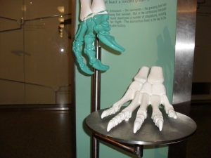 Peo's photo of the grasping hand model.