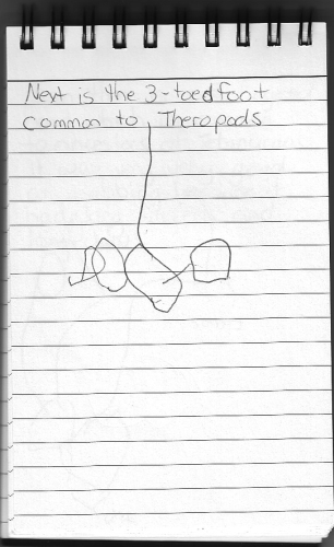 Evolution Journal - Page 10 - Three-Toed Foot