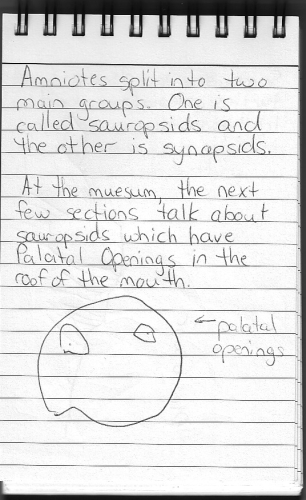 Evolution Journal - Page 6 - Amniotes