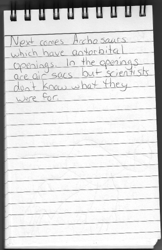 Evolution Journal - Page 7 - Archosaurs