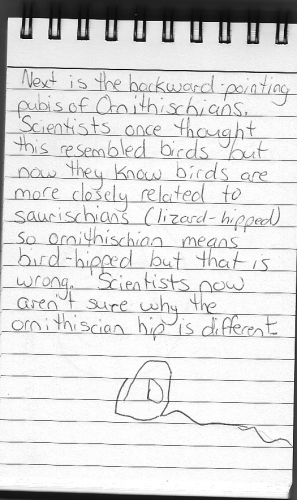 Evolution Journal - Page 13 - Backward-Pointing Pubis