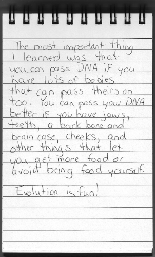 Evolution Journal - Page 26 - Conclusion - 2