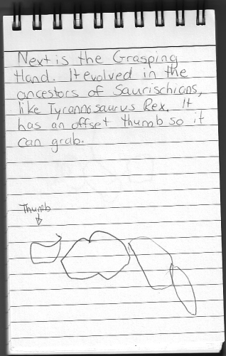 Evolution Journal - Page 9 - Grasping Hand