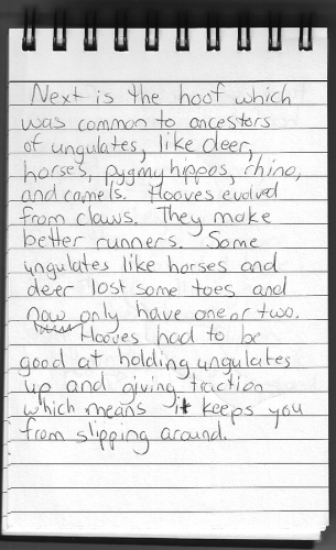 Evolution Journal - Page 22 - Ungulates