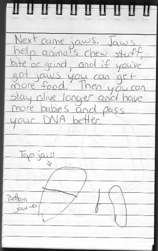 Evolution Journal - Page 3 - Jaws