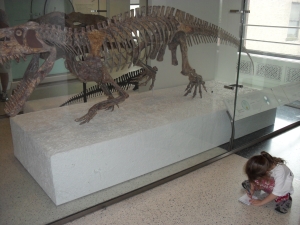 Peo drawing a rauisuchid in her evolution journal