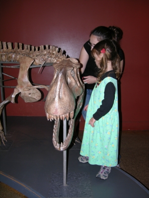 Peo working on the rauisuchid puzzle in the Discovery Center