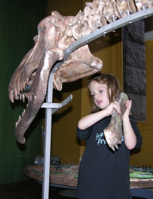 Peo working on the rauisuchid puzzle in the Discovery Center