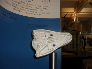 Evolution Journal - Page 5 - Palatal Openings