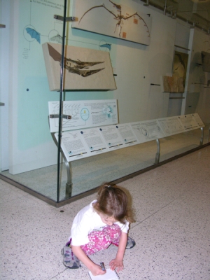 Peo drawing a pterosaur in her evolution journal.