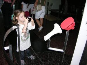Peo's photo of the whole three middle ear bones display.