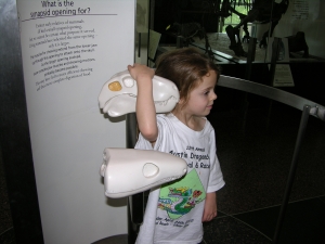 Peo poses alongside the synapsid model.