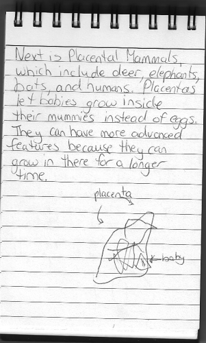 Evolution Journal - Page 20 - Placental Mammals