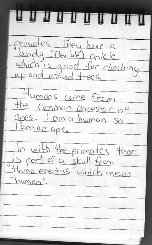 Evolution Journal - Page 25 - Primates - 2