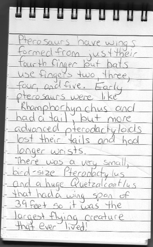 Evolution Journal - Page 8 - Pterosaurs 1