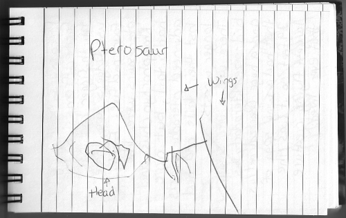 Evolution Journal - Page 8 - Pterosaurs 2