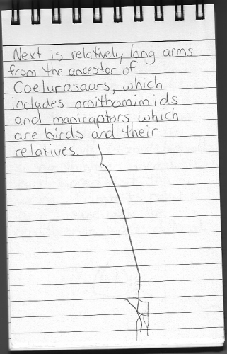 Evolution Journal - Page 12 - Relatively Long Arms