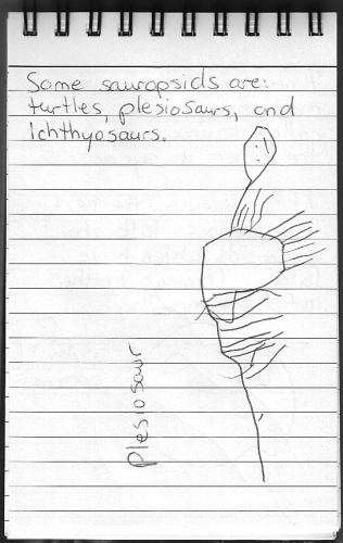 Evolution Journal - Page 6 - Sauropsids