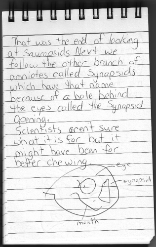 Evolution Journal - Page 17 - Synapsids