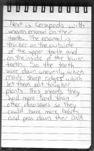 Evolution Journal - Page 15 - Uneven Enamel - 1